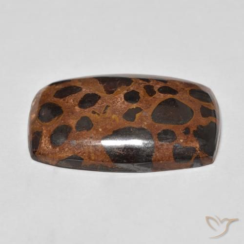 Jaspe Multicolore naturelle Coussin, 22.48 ct, Opaque