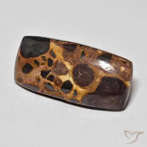 Jaspe Multicolore naturelle Coussin, 21.10 ct, Opaque