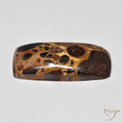 Jaspe Multicolore naturelle Coussin, 21.10 ct, Opaque