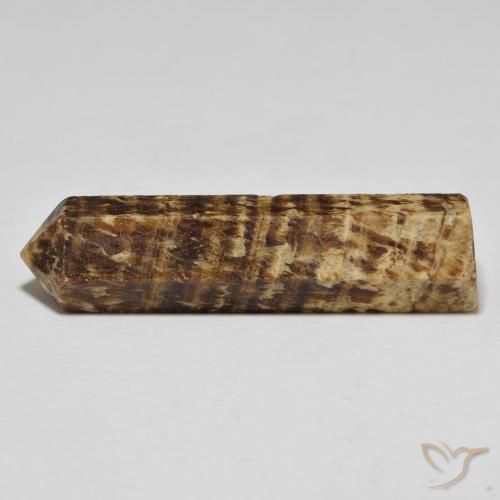Jaspe Multicolore naturelle Fantaisie, 31.24 ct, Opaque