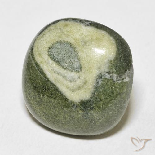 Jaspe Multicolore naturelle Coussin, 25.13 ct, Opaque