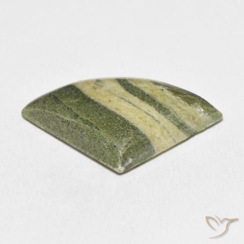 Jaspe Multicolore naturelle Trillion, 19.98 ct, Opaque