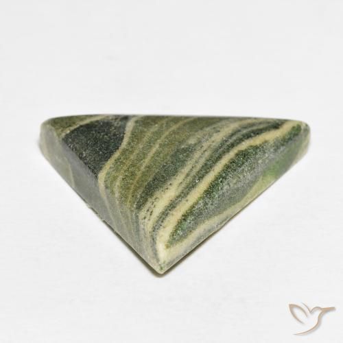 Jaspe Multicolore naturelle Trillion, 24.02 ct, Opaque