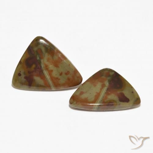 Shop natural 11.17ct Multicolore Jaspe gems, Trillion, from Indonésie at GemSelect. In stock, global shipping!
