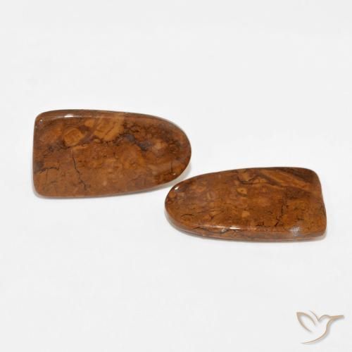 Shop natural 15.61ct Multicolore Jaspe gems, Fantaisie, from Indonésie at GemSelect. In stock, global shipping!
