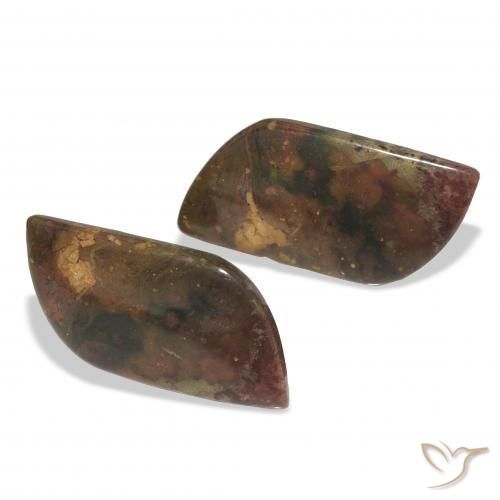 Shop natural 15.28ct Multicolore Jaspe gems, Fantaisie, from Indonésie at GemSelect. In stock, global shipping!