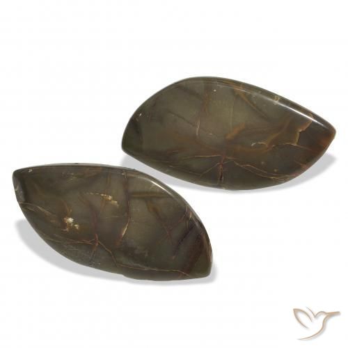 Shop natural 19.01ct Multicolore Jaspe gems, Fantaisie, from Indonésie at GemSelect. In stock, global shipping!