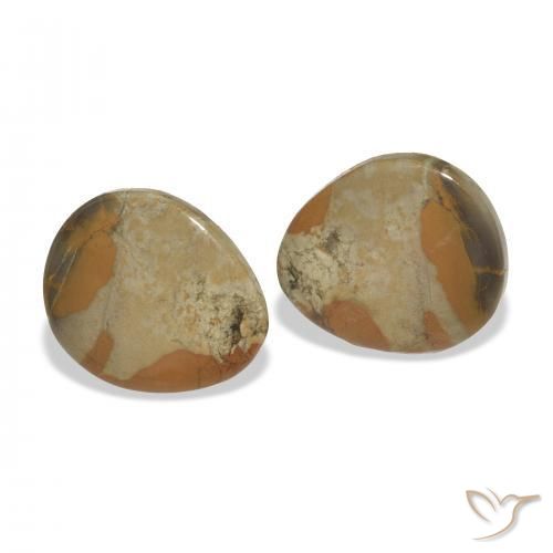Shop natural 12.44ct Multicolore Jaspe gems, Fantaisie, from Indonésie at GemSelect. In stock, global shipping!