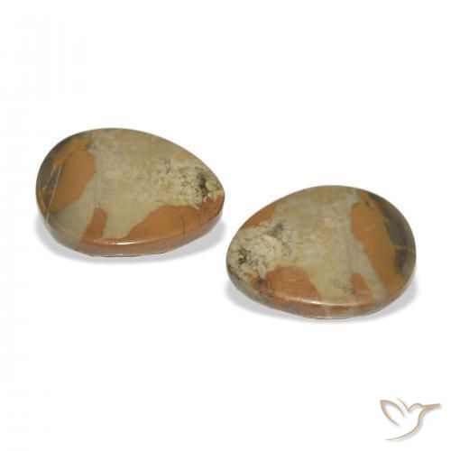 Shop natural 12.44ct Multicolore Jaspe gems, Fantaisie, from Indonésie at GemSelect. In stock, global shipping!