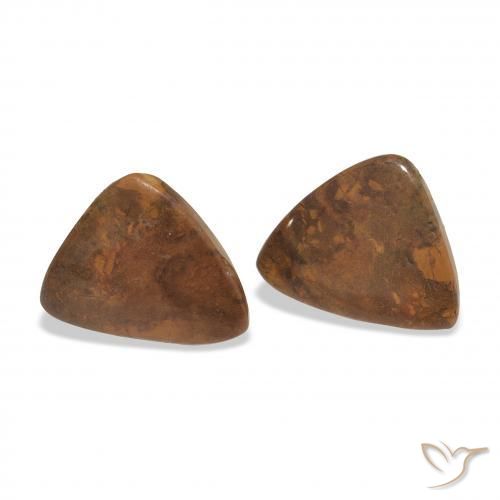 Shop natural 11.39ct Multicolore Jaspe gems, Trillion, from Indonésie at GemSelect. In stock, global shipping!