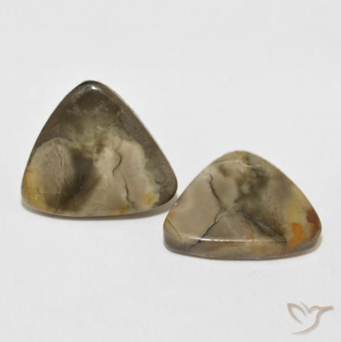 Shop natural 13.82ct Multicolore Jaspe gems, Trillion, from Indonésie at GemSelect. In stock, global shipping!