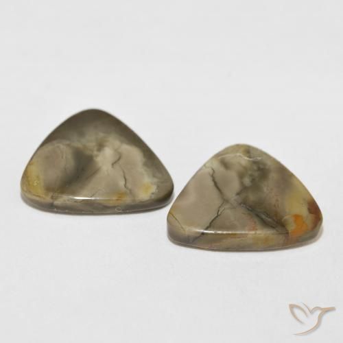 Shop natural 13.82ct Multicolore Jaspe gems, Trillion, from Indonésie at GemSelect. In stock, global shipping!