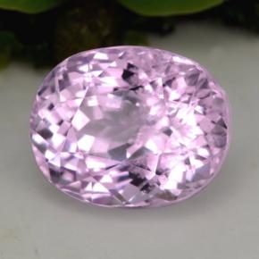 Kunzite rose naturelle coupe ovale, 5,49 ct, VS-SI