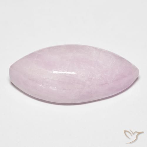 Kunzite Rose pourpre royal naturelle Marquise, 18.45 ct, Translucide