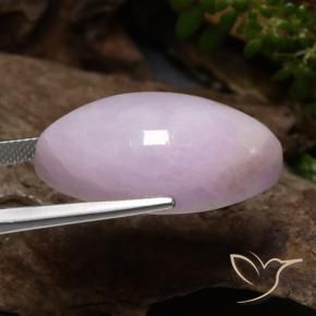Kunzite Rose Pourpre naturelle Marquise, 39.37 ct, Translucide