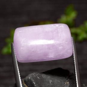 Kunzite violet naturelle coupe coussin, 24,87 ct, translucide