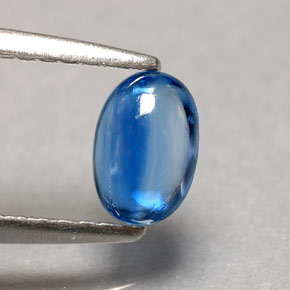 Cyanite bleue naturelle transparent, 0,67 ct, transparent / translucide