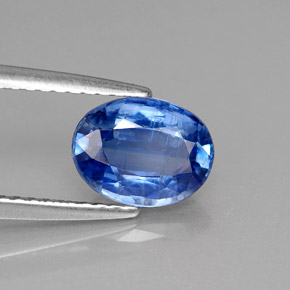 Cyanite bleue naturelle coupe ovale, 1,57 ct, VS