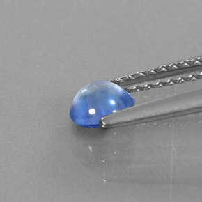 Disthène Bleu naturelle Coupe roude, 0.55 ct, Transparent