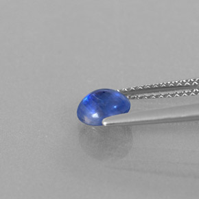 Cyanite bleue naturelle transparent, 0,91 ct, transparent / translucide