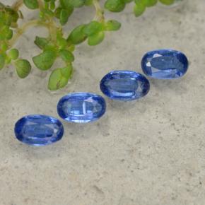 Achetez naturel 1,50ct bleue cyanite gems, coupe ovale, en provenance népal chez gemselect. en stock, livraison internationale!