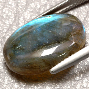 Labradorite Multicolore naturelle Transparent, 10.19 ct, Transparent / Translucide
