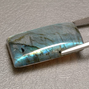 Labradorite multicolore naturelle transparent, 66,83 ct, transparent / translucide