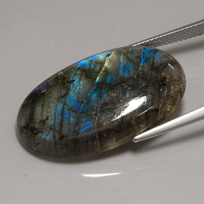 Labradorite multicolore naturelle transparent, 31,68 ct, transparent / translucide