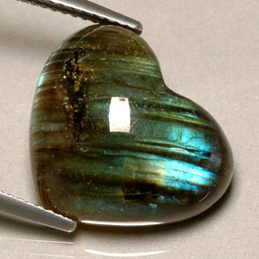 Labradorite multicolore naturelle forme de coeur, 12,57 ct, translucide