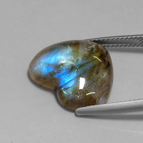 Labradorite multicolore naturelle transparent, 10,21 ct, transparent / translucide