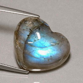 Labradorite multicolore naturelle transparent, 9,60 ct, transparent / translucide