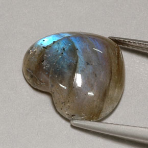 Labradorite multicolore naturelle transparent, 9,60 ct, transparent / translucide