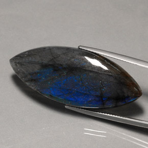 Labradorite Multicolore naturelle Transparent, 43.96 ct, Transparent / Translucide