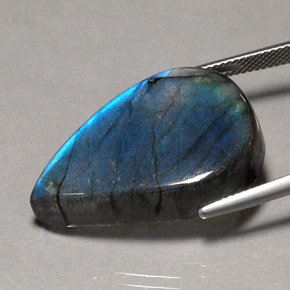 Labradorite multicolore naturelle transparent, 33,42 ct, transparent / translucide
