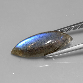 Labradorite Multicolore naturelle Marquise, 7.01 ct, Translucide