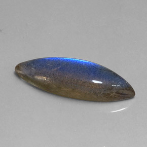 Labradorite multicolore naturelle marquise, 7,58 ct, translucide