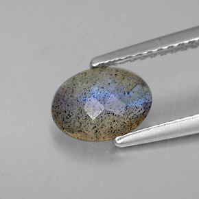 Labradorite Multicolore naturelle Coupe ovale, 0.88 ct, Translucide