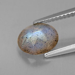 Labradorite multicolore naturelle coupe ovale, 1,32 ct, translucide