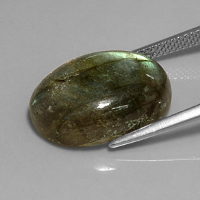 Labradorite multicolore naturelle transparent, 12,73 ct, transparent / translucide