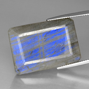 Labradorite Multicolore naturelle Transparent, 35.01 ct, Transparent / Translucide