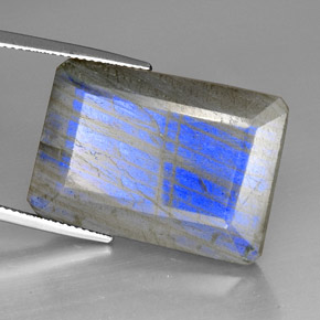 Labradorite Multicolore naturelle Transparent, 35.01 ct, Transparent / Translucide