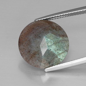 Labradorite Multicolore naturelle Coupe roude, 10.20 ct, Opaque