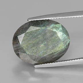 Labradorite multicolore naturelle coupe ovale, 13,32 ct, opaque