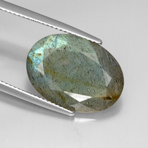 Labradorite Multicolore naturelle Coupe ovale, 10.26 ct, Opaque