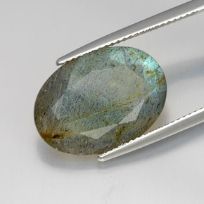 Labradorite Multicolore naturelle Coupe ovale, 10.26 ct, Opaque