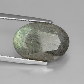 Labradorite multicolore naturelle coupe ovale, 10,77 ct, opaque