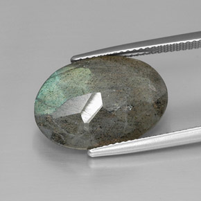 Labradorite multicolore naturelle coupe ovale, 10,77 ct, opaque