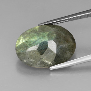 Labradorite multicolore naturelle coupe ovale, 10,59 ct, opaque