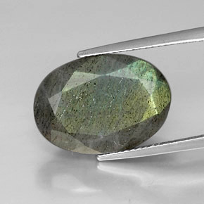 Labradorite multicolore naturelle coupe ovale, 12,90 ct, opaque