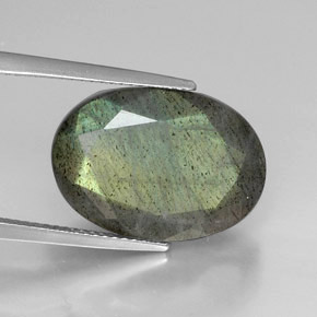 Labradorite multicolore naturelle coupe ovale, 12,90 ct, opaque